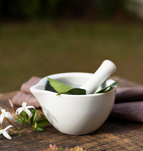 Ayurveda Treatment Centre