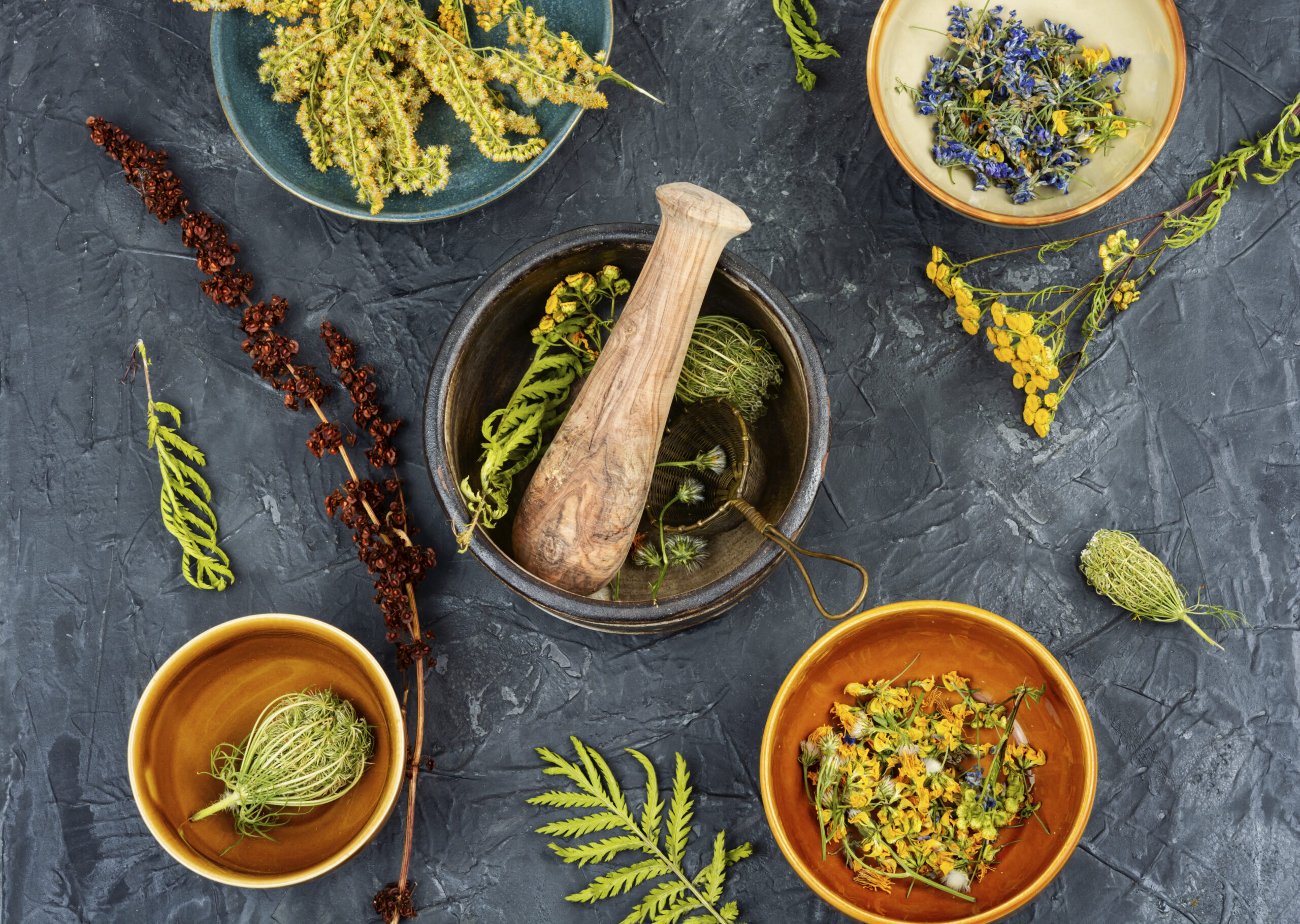 Ayurvedic medicinal herbs